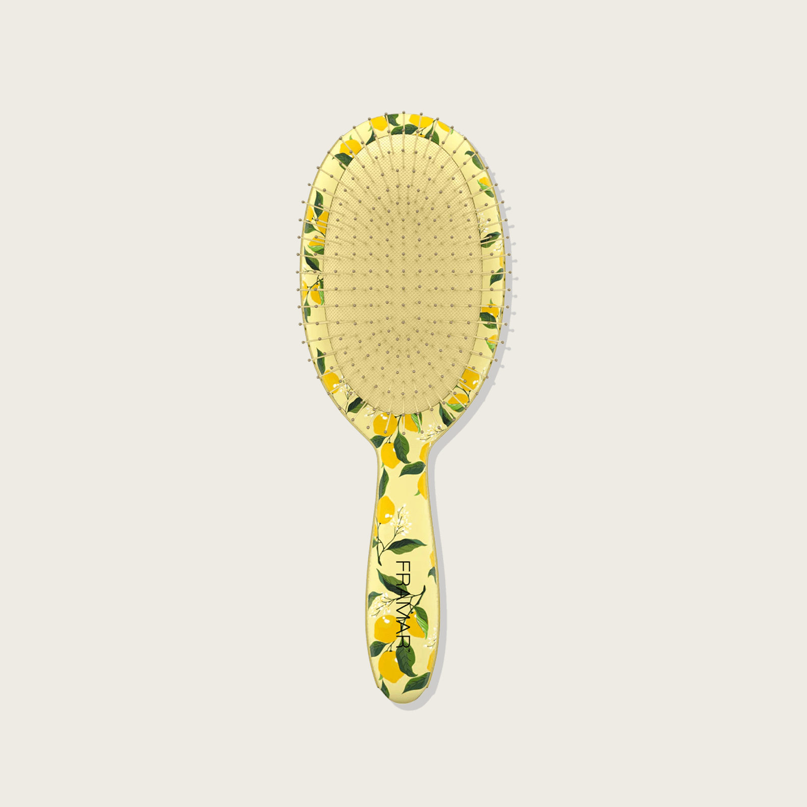 Brosse démélante
