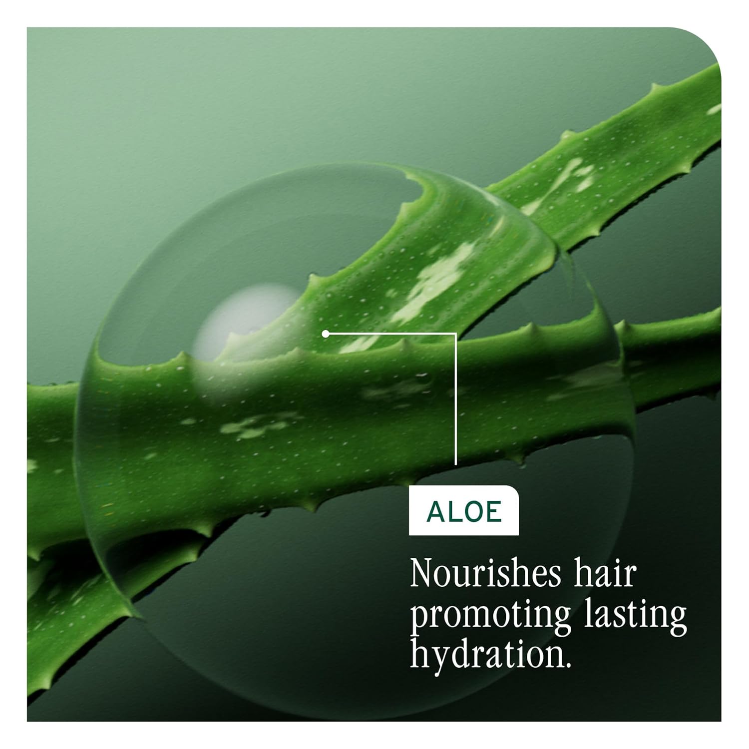 Biolage Hydra Source Daily Leave-In Tonic for Dry Hair, Paraben-Free, 400 ml