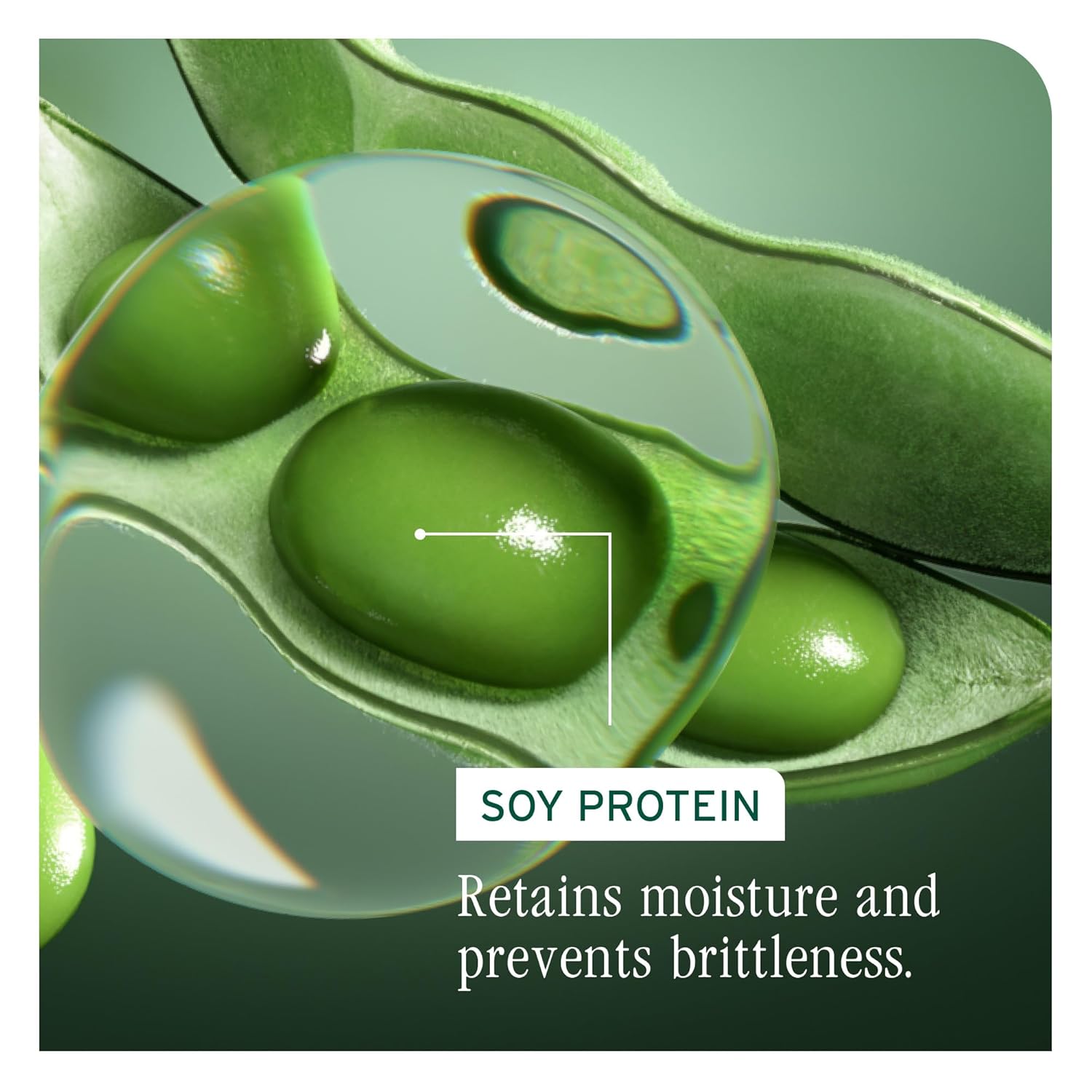 Biolage VolumeBoost Conditioner – Lightweight Moisture & Volume for Fine Hair, Vegan, Paraben-Free