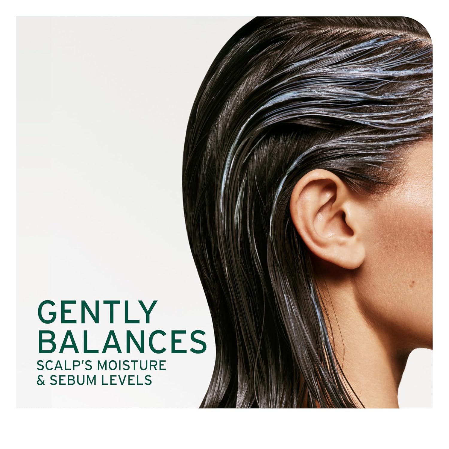 Biolage Scalp Sync Calming Shampoo – Soothes Sensitive, Dry Scalps