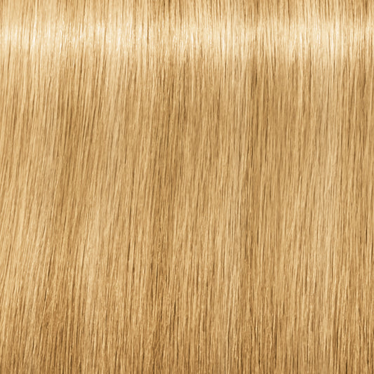 Schwarzkopf IGORA Royal Fashion Lights — shade L-00 Natural Extra on a hair strand
