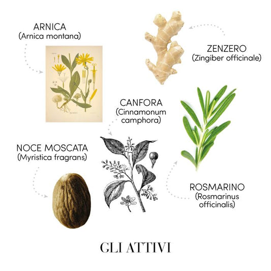 Medavita Lotion Concentrée Densifying Shampoo – Densifying Care for Thinning Hair 1000ml