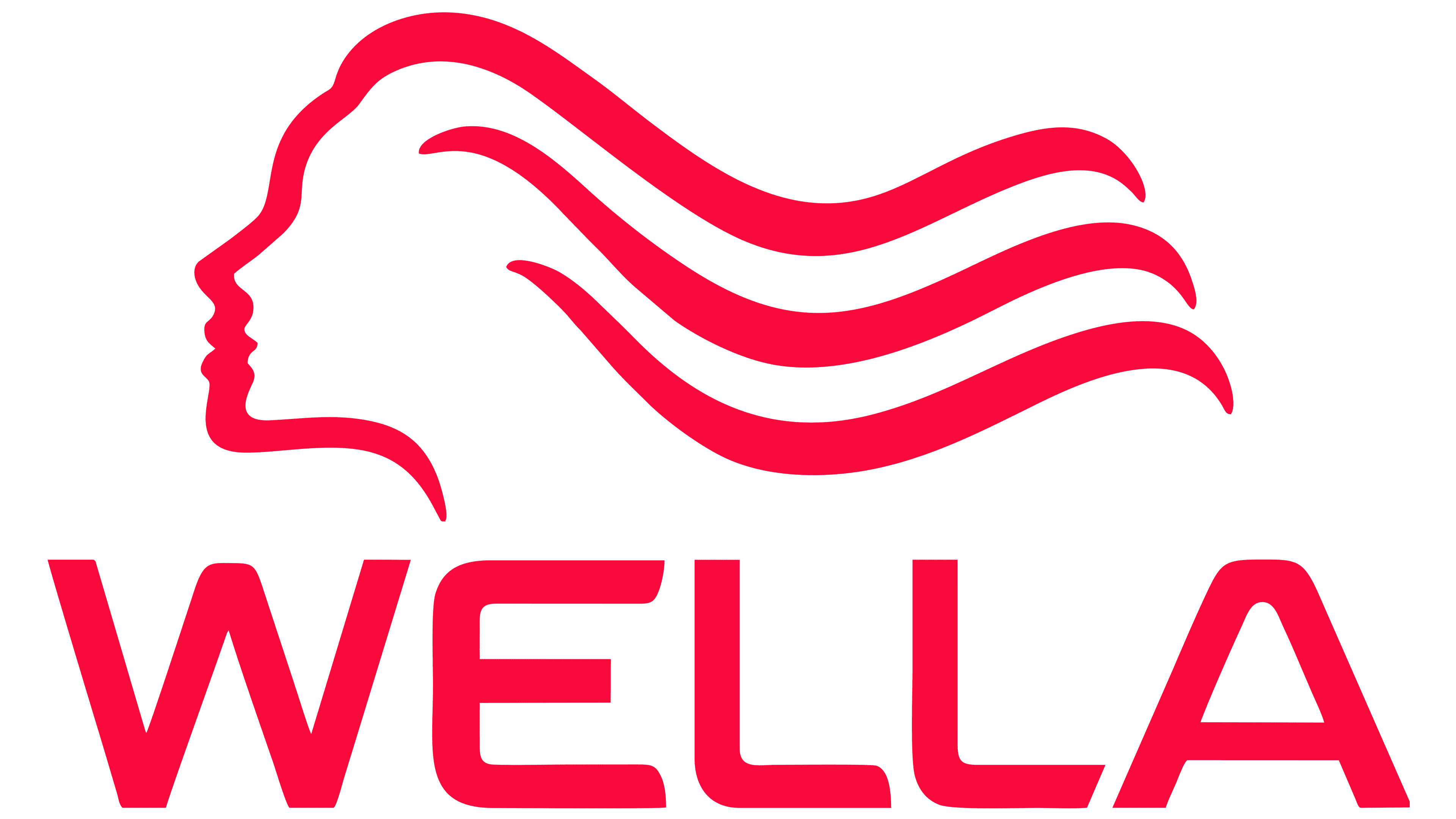 Wella Professionals