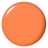 Vernis | Trading Paint | NLD54