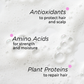 Rusk Vivid colour-care ingredient benefits: amino acids, plant proteins and antioxidants