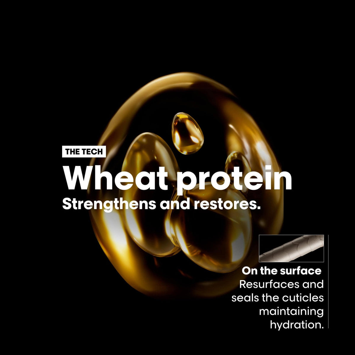 L'Oréal Professionnel Absolut Repair Shampoo & Mask Duo — official technology card: wheat protein resurfaces and seals the cuticle