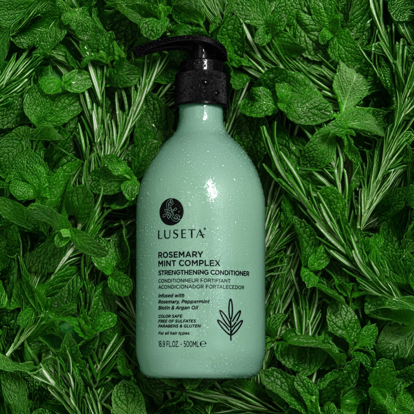 Luseta Rosemary Mint Complex Strengthening Conditioner product image