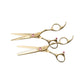 Olivia Garden Right handed shear set