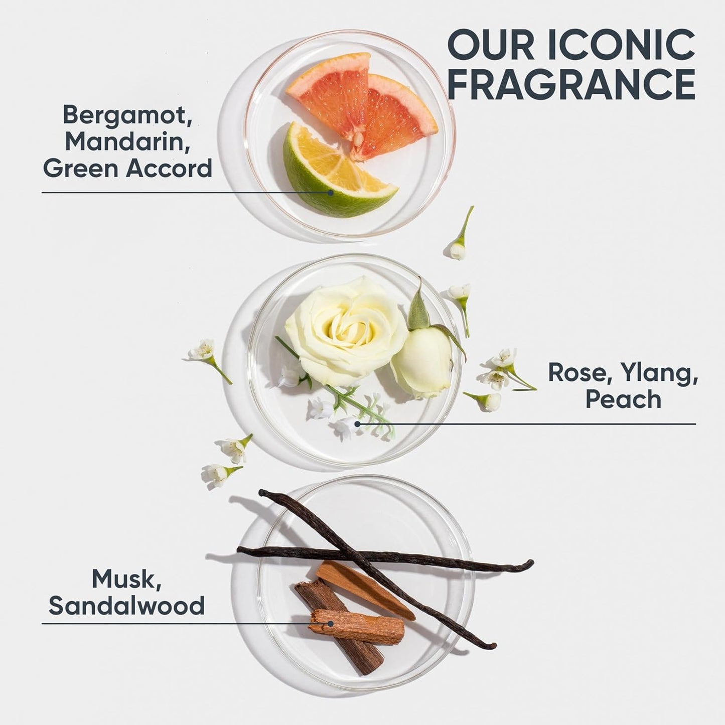 Biolage Bond Therapy Shampoo – Bond Repair & Gentle Cleanse for Damaged Hair