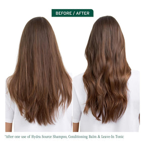 Biolage Hydra Source Daily Leave-In Tonic for Dry Hair, Paraben-Free, 400 ml