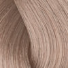 Professional By Fama BlondHer Toner – Demi-Permanent Blonde Toner — 0.23 shade (910350.23)
