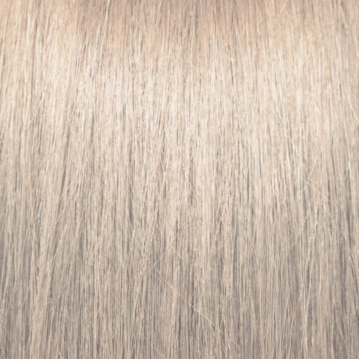 Pravana ChromaSilk HydraGloss shade 9GBv Very Light Golden Beige Blonde — hair swatch showing the finished tone