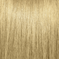 Pravana Demipermanent HydraGloss shade 9119669g