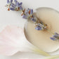 AG Care Colour Savour — colour complex key ingredients