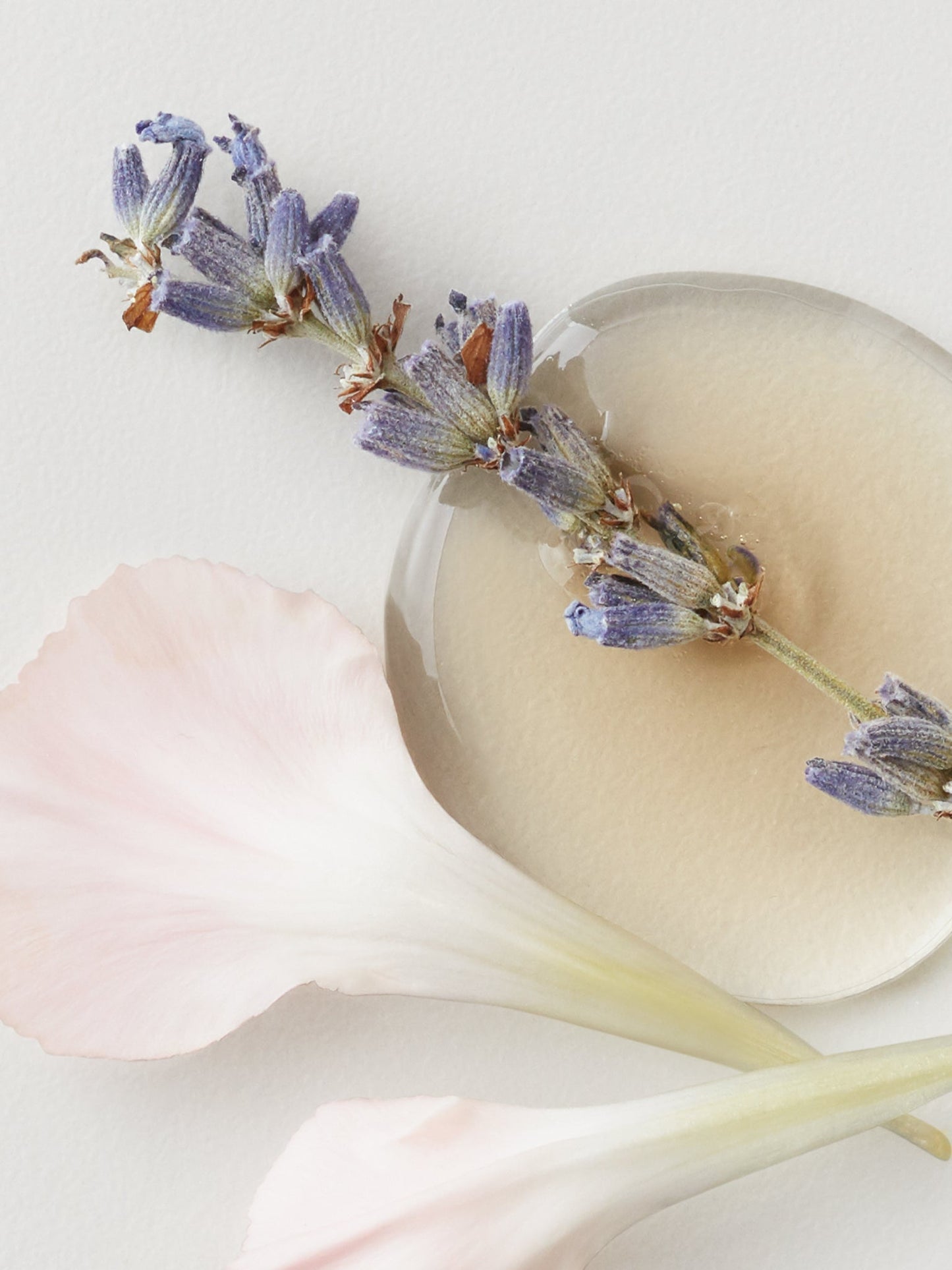 AG Care Colour Savour — colour complex key ingredients