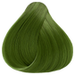 Oya Hybrid Concentrate Green