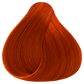 Oya Hybrid Concentrate Orange