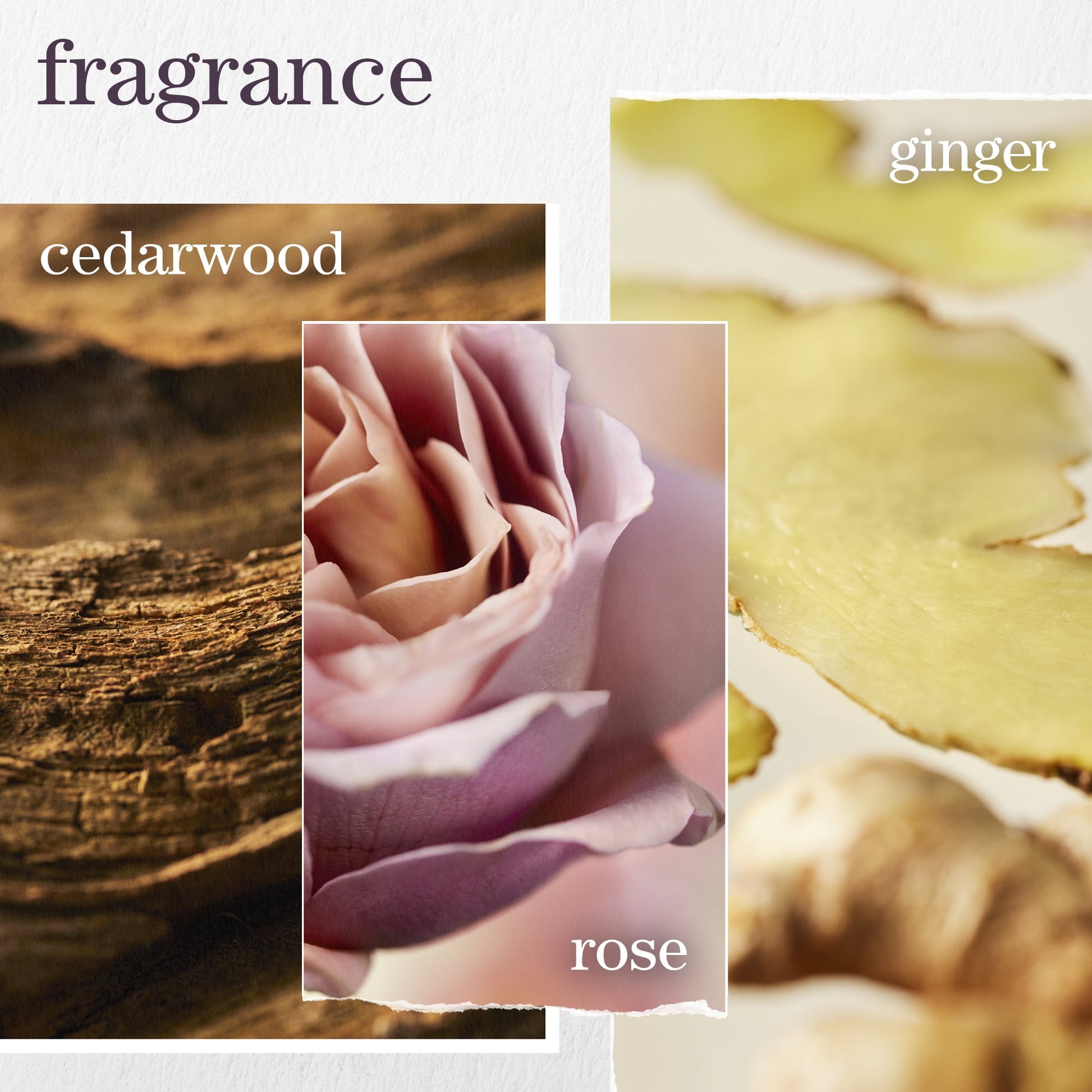 Pureology Color Fanatic 21-in-1 Leave-In Spray – fragrance notes