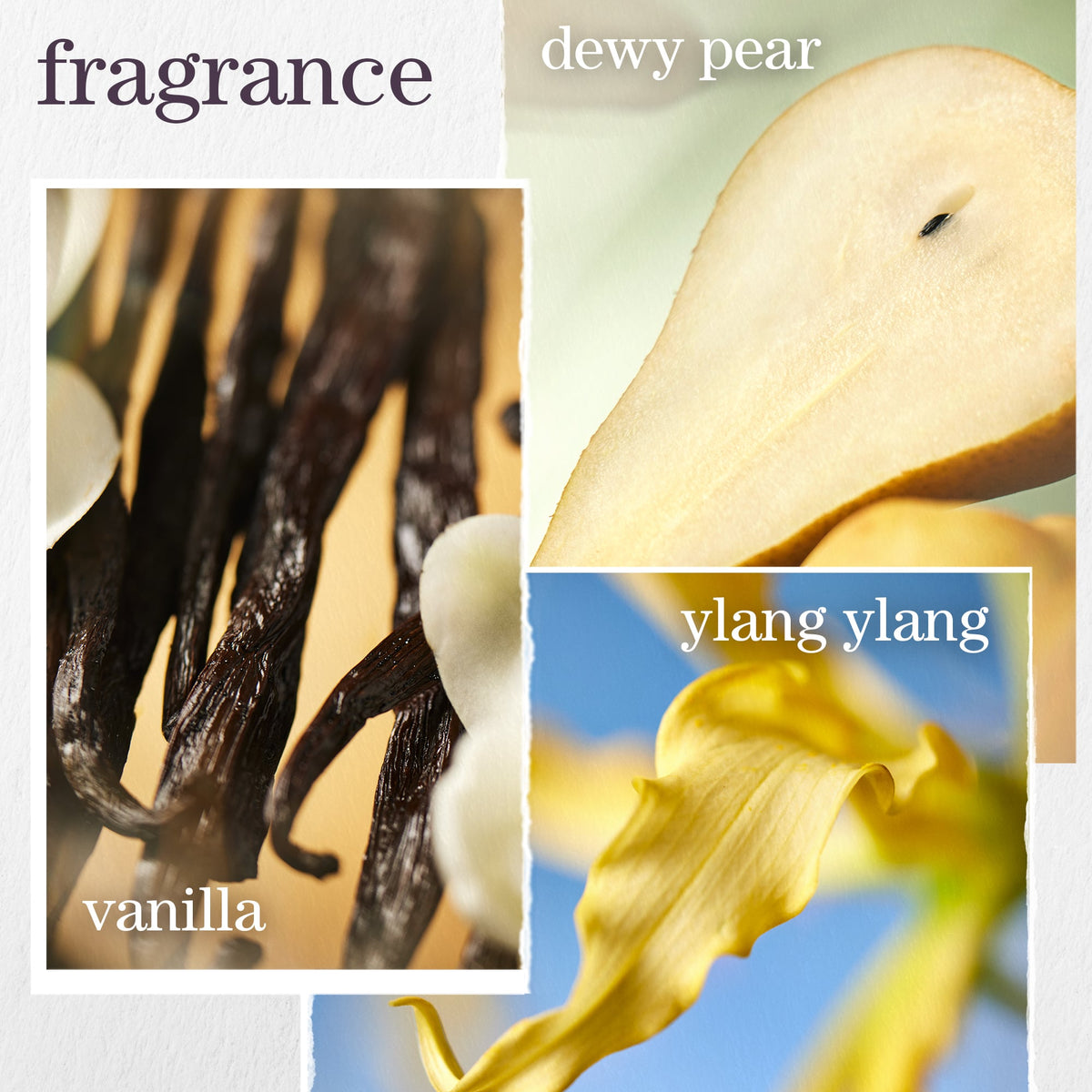 Pureology Nanoworks Gold Shampoo and Conditioner Duo – fragrance notes