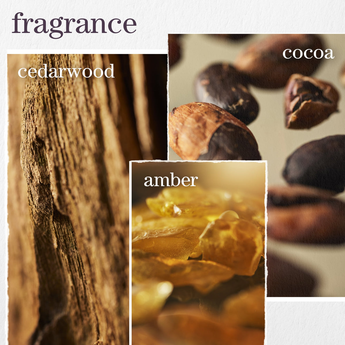Pureology Smooth Perfection Shampoo – fragrance notes