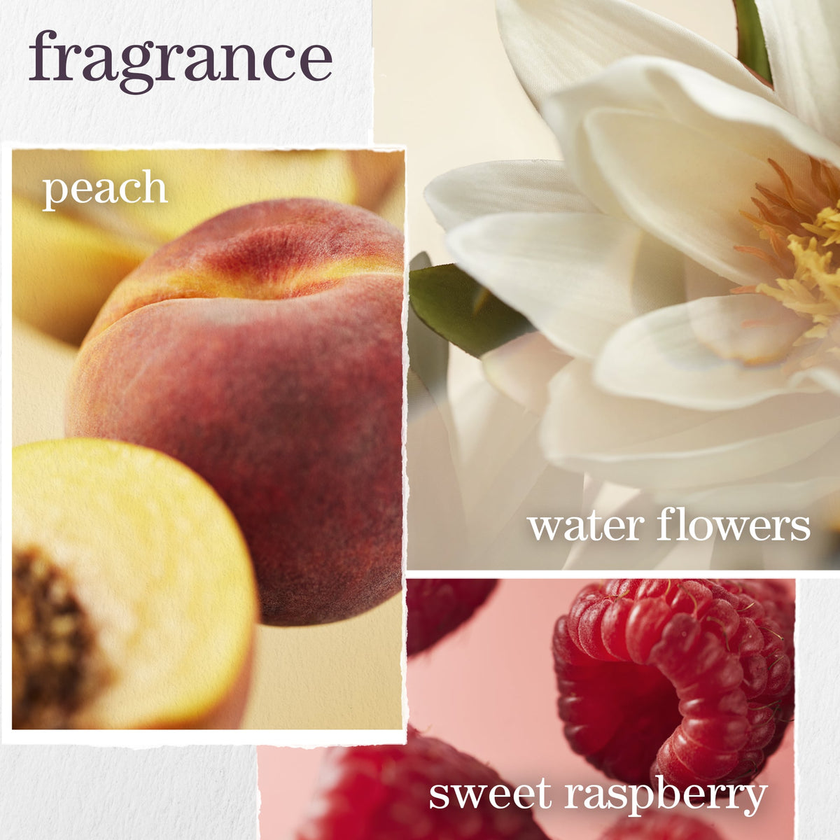 Pureology Strength Cure Dream Healer Serum – fragrance notes