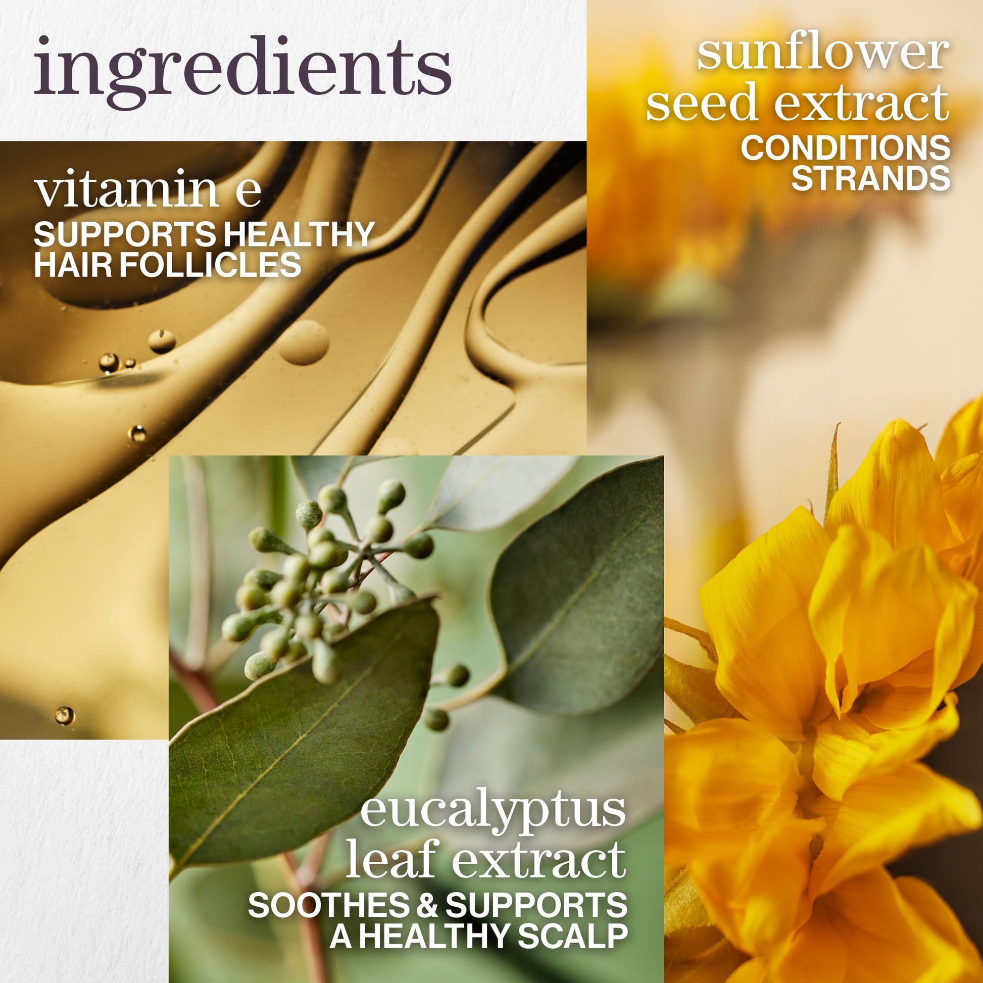 Pureology Pure Volume Conditioner – key ingredients