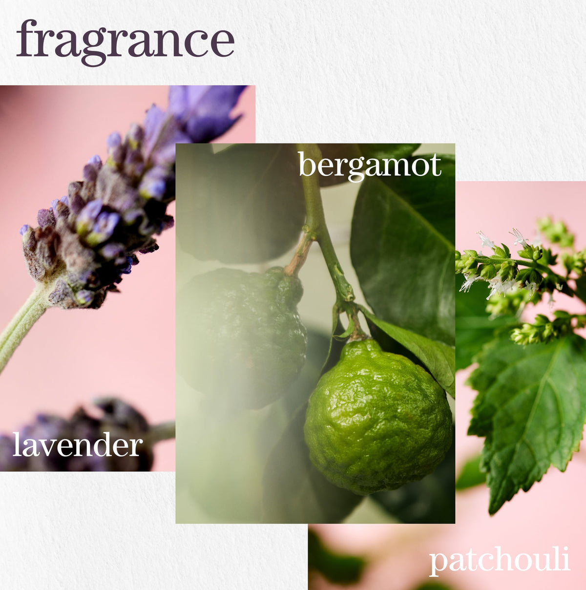 Pureology Hydrate Treatment Mask – fragrance notes