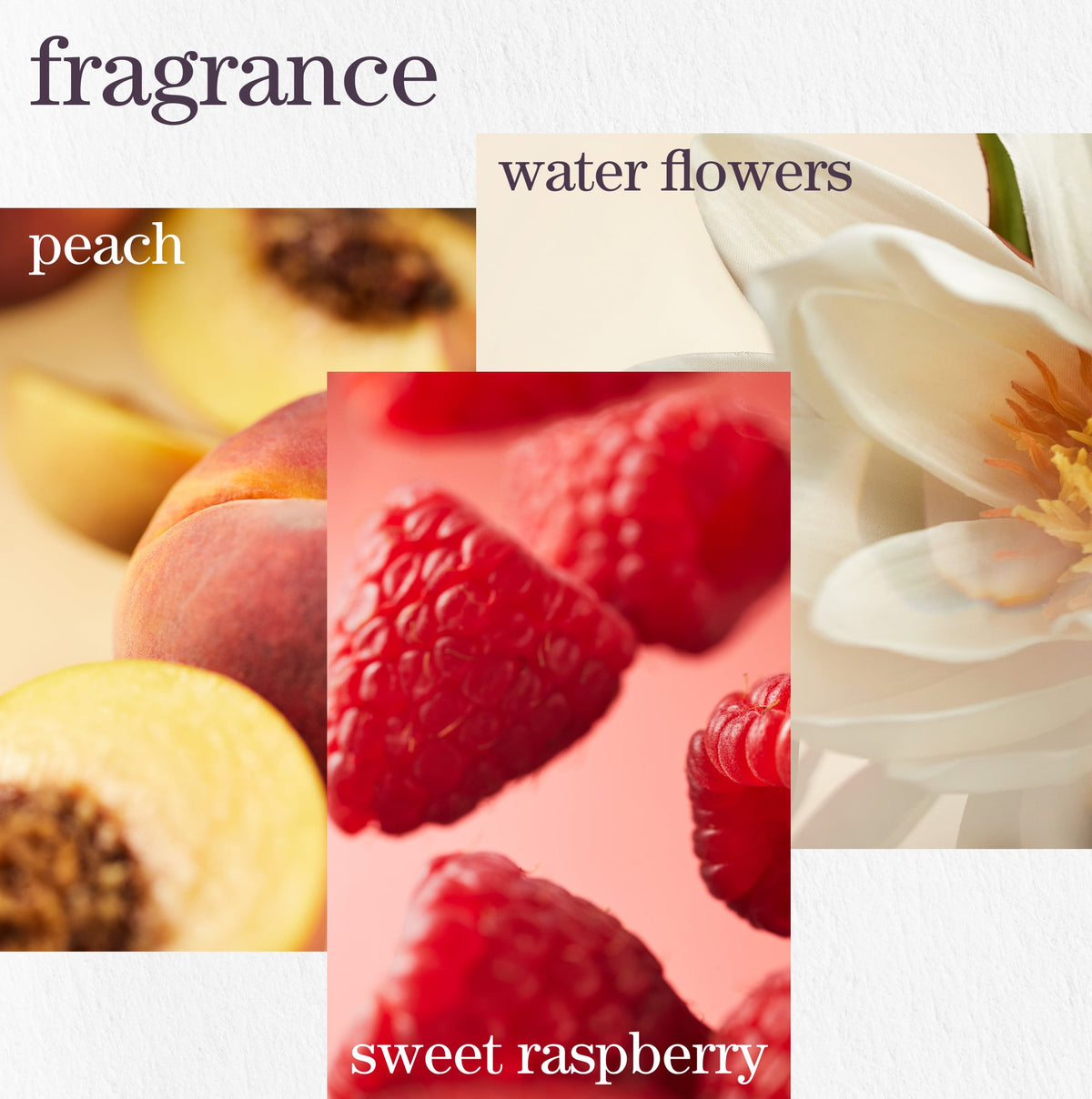 Pureology Strength Cure Treatment Mask – fragrance notes