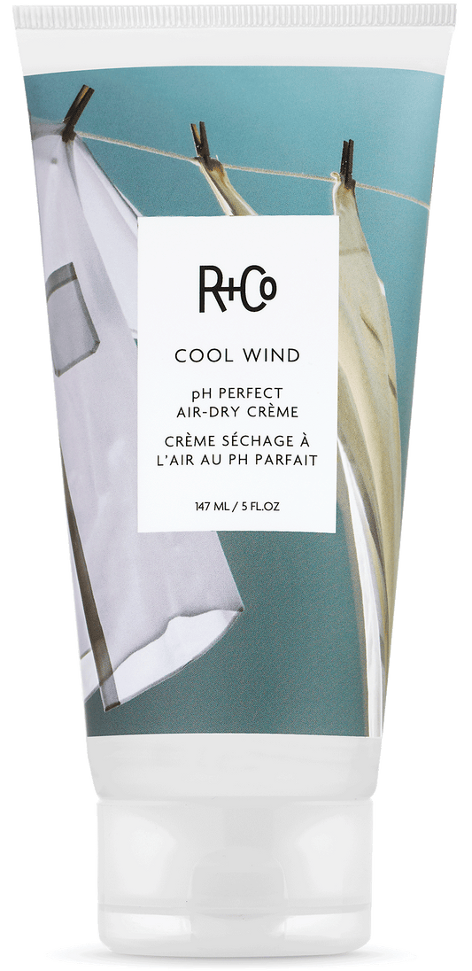 R+CO - Cool Wind P H Perfect Air-Dry Cream |5 oz|