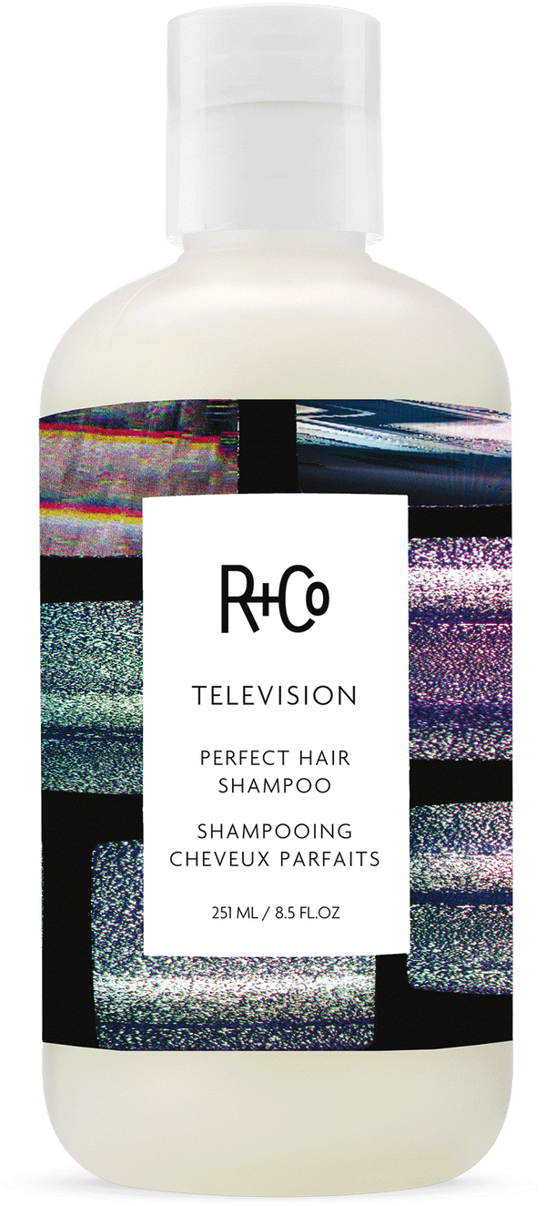 R+Co Television Perfect Hair Shampoo