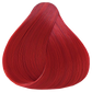 Oya Hybrid Concentrate Red