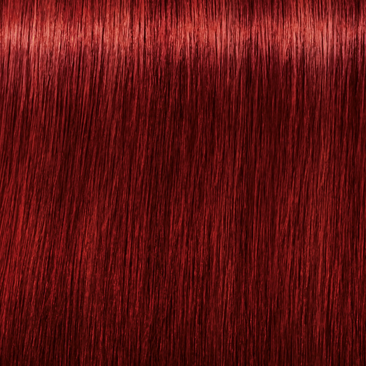 Schwarzkopf IGORA Royal Fashion Lights — shade L-88 Red Extra on a hair strand