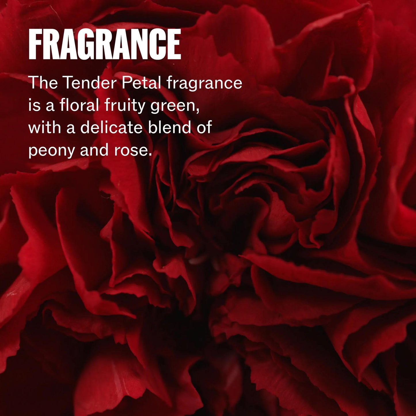 Wella Professionals Ultimate Repair — Tender Petal fragrance of peony and rose