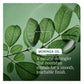 Biolage All-In-One Multi-Benefit Oil — moringa oil ingredient card: a natural detangler that nourishes strands for a smooth, touchable finish
