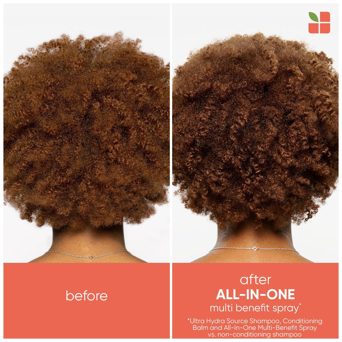 Biolage All-In-One Multi-Benefit Spray — before and after on curly hair