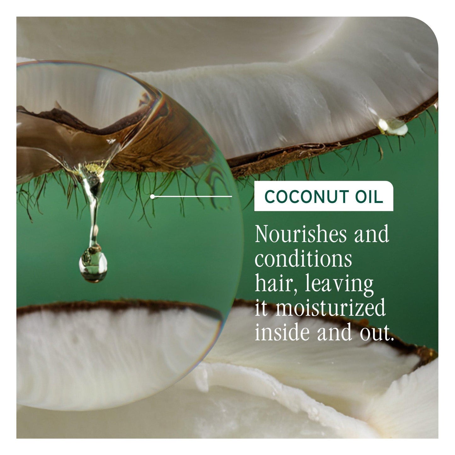 Biolage All-In-One Multi-Benefit Spray — coconut oil nourishes and conditions