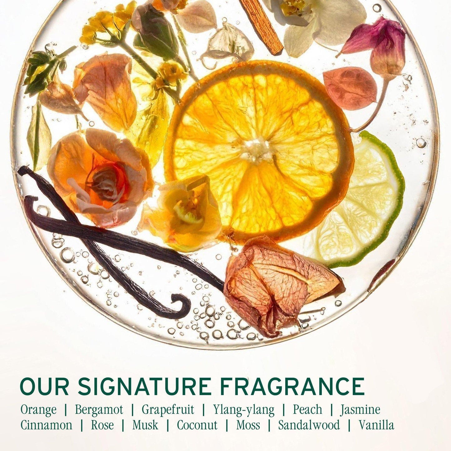 Biolage Full Rescue Restorative Mask — signature fragrance notes