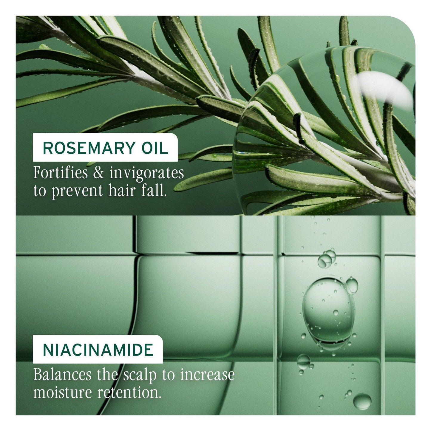 Biolage Full Rescue Restorative Mask — rosemary oil and niacinamide ingredient panel