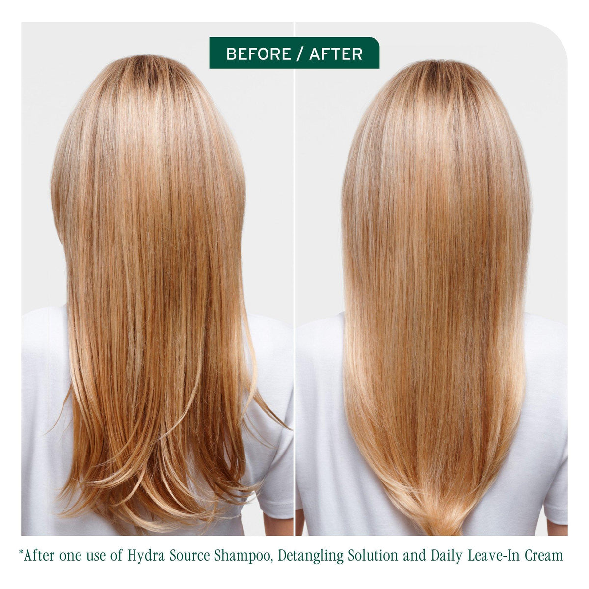 Biolage HydraSource Daily Leave-In Cream — before and after one use on dry hair