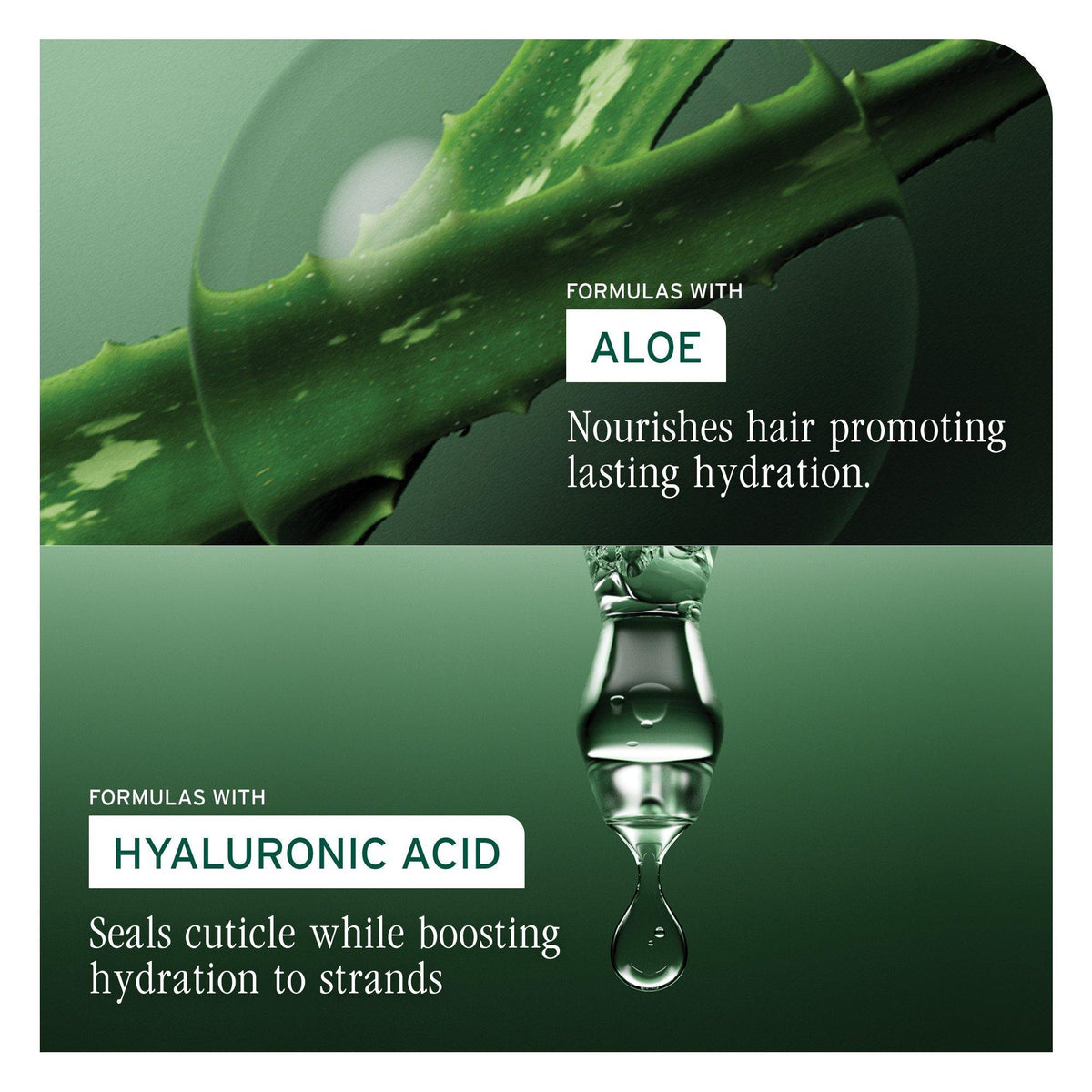 Biolage HydraSource Moisture Method Serum — aloe and hyaluronic acid ingredient panel