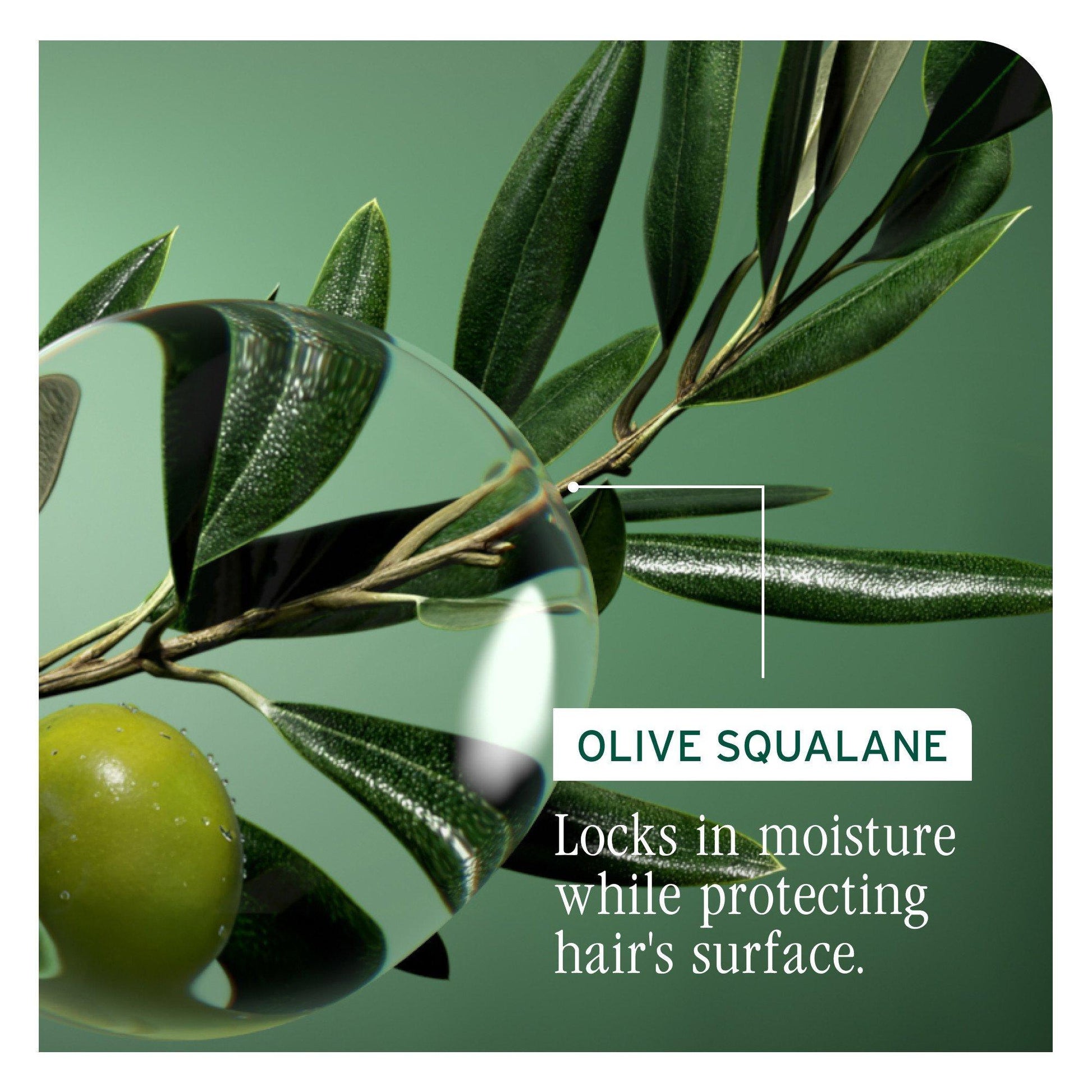 Biolage Strength Recovery Deep Treatment Mask — olive squalane locks in moisture