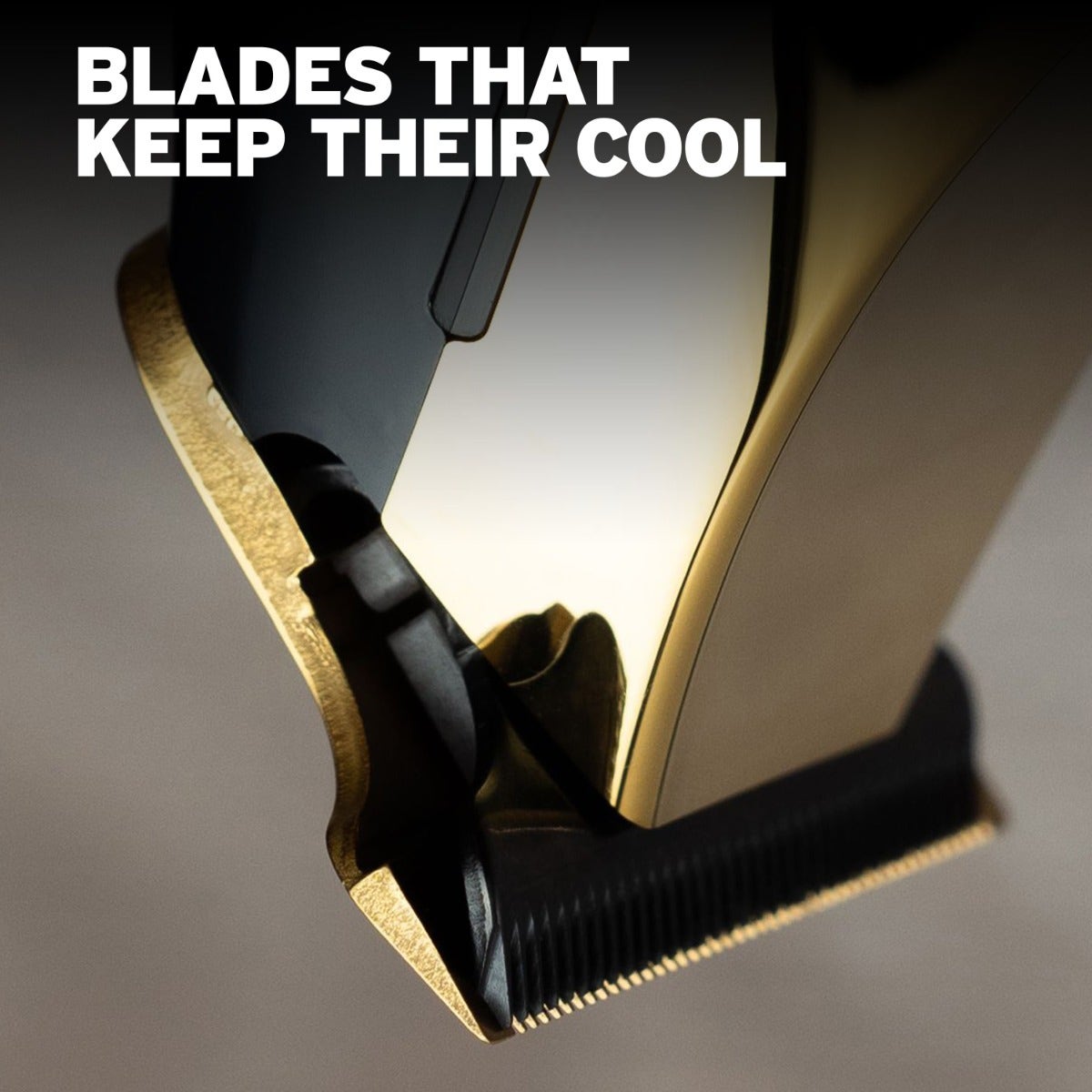 Wahl T-Wide Gold Plated Blade Set – #52147 — product image 4