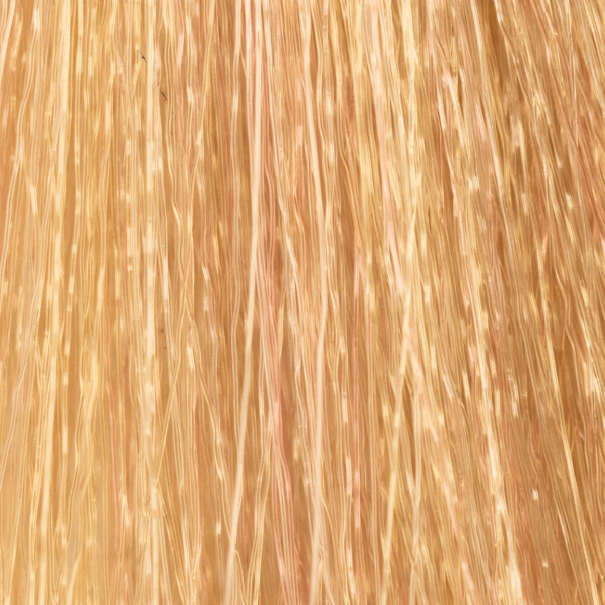 Insight Incolor Hydra-Color Coloring Cream – 10/2 Irisée Extra Light Blonde