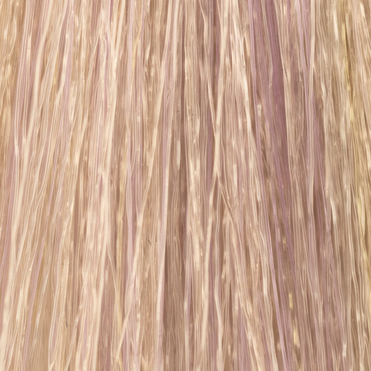 Insight Incolor Hydra-Color Coloring Cream – 11/21 Platinum, Irisée Ash Blonde