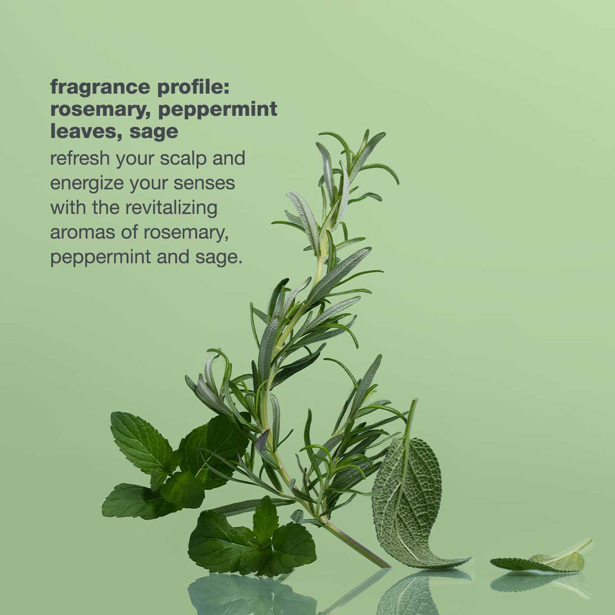 milk_shake Scalp Care Energizing Blend Treatment — fragrance profile