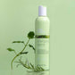 milk_shake Energizing Shampoo — lifestyle shot