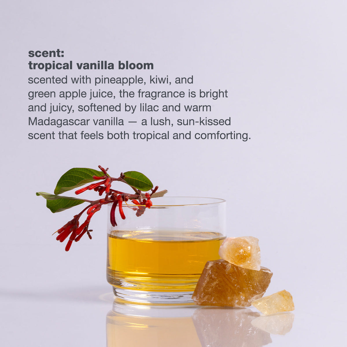 milk_shake Lifestyling Volumizing Mousse Strong Hold — fragrance profile