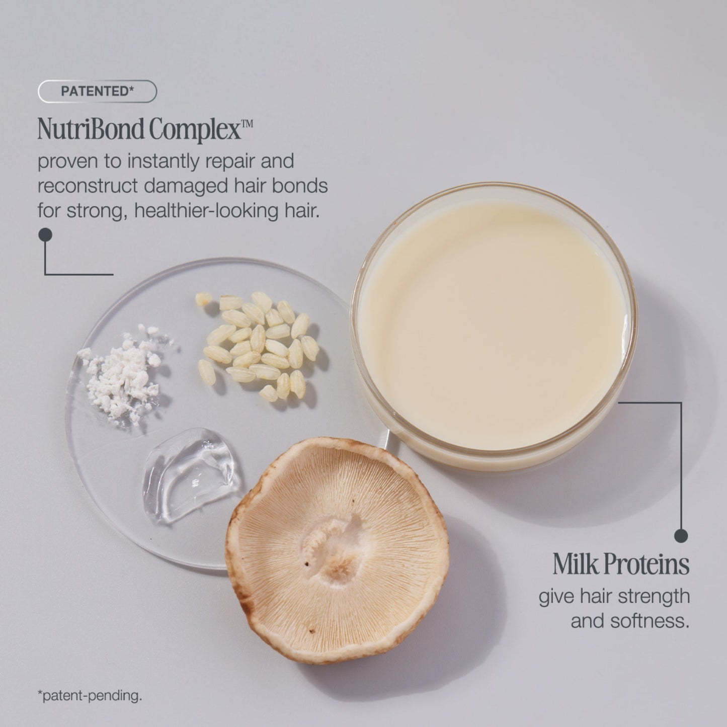 milk_shake Everlasting Bonds Intensive Repair Pre-Shampoo Treatment — brand gallery image 7