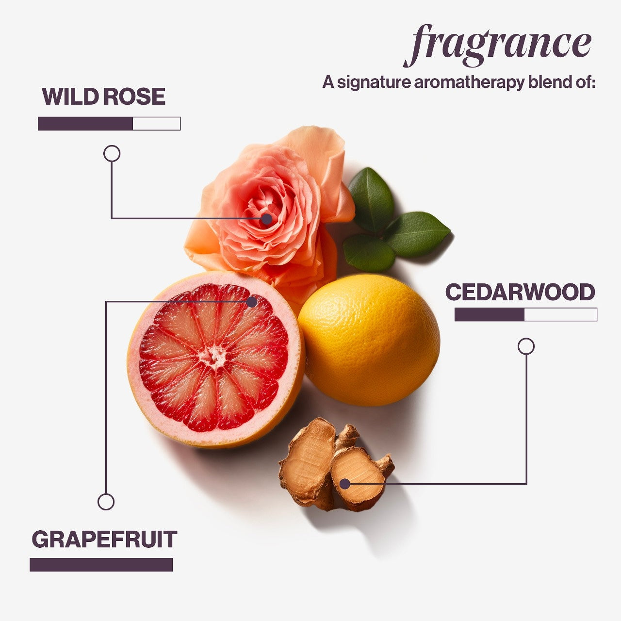 Pureology - Pure Volume - Shampoing | 33,8 oz |