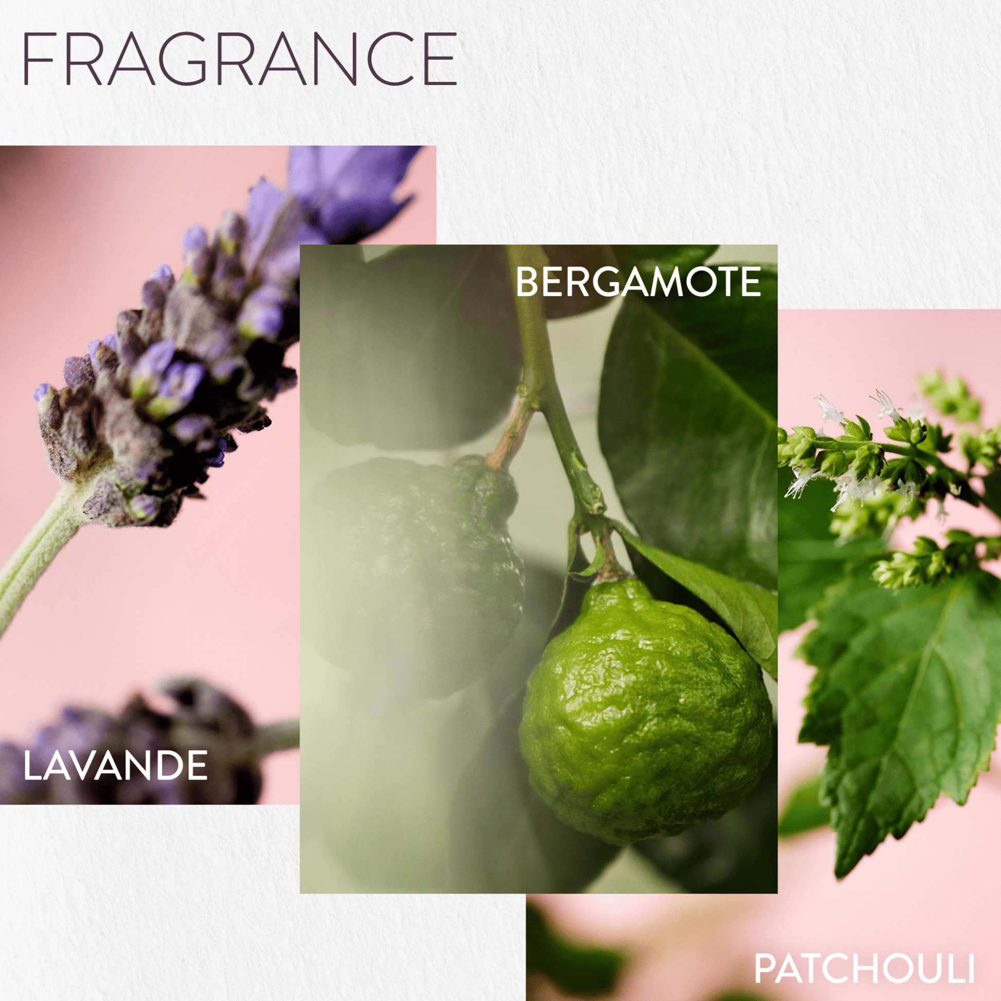 Pureology Hydrate Treatment Mask – product detail view (6)